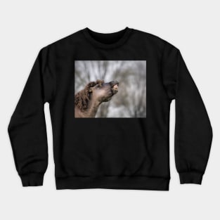 Flehming Crewneck Sweatshirt